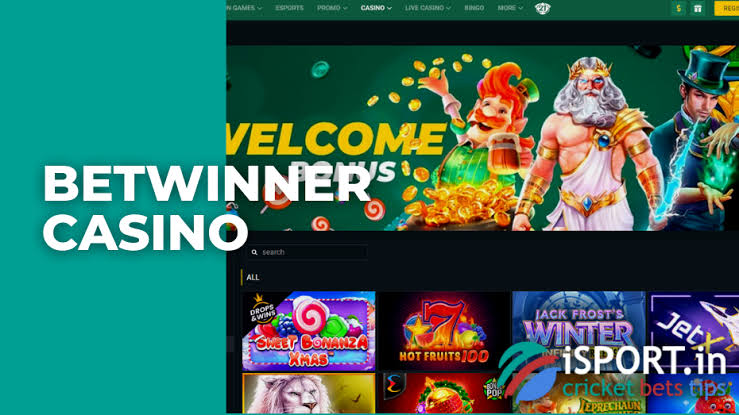 Everything You Need to Know About BetWinner 1548383521