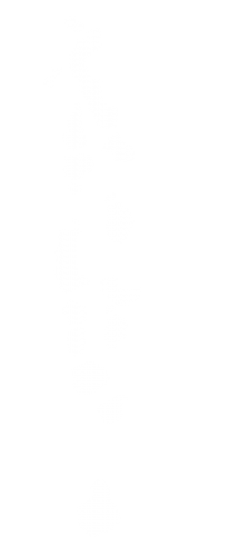 map map